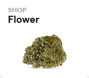 shop cannabis flower in Columbia Falls at Bloom dispensary
