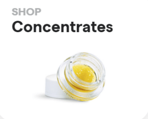 shop concentrates great falls montana bloom weed dispensary