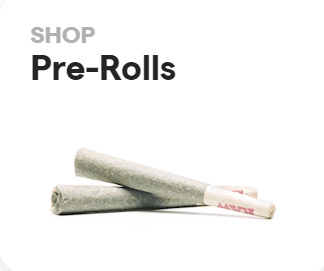shop pre rolls at Bloom weed dispensary in Columbia Falls Montana