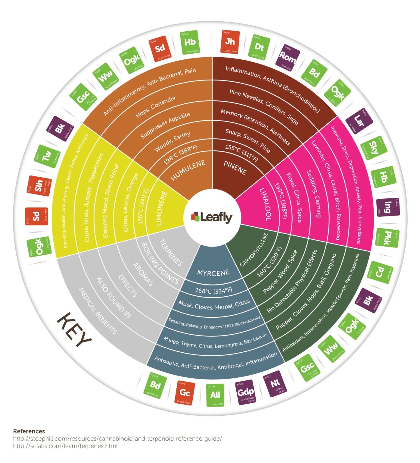 The Best Terpenes For Pain Anti Inflammatory Terpene Guide Bloom Montana